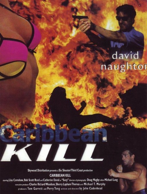 Обложка (Постер) Caribbean Kill (1994) HDRip Обложка (Постер) Caribbean Kill (1994) HDRip