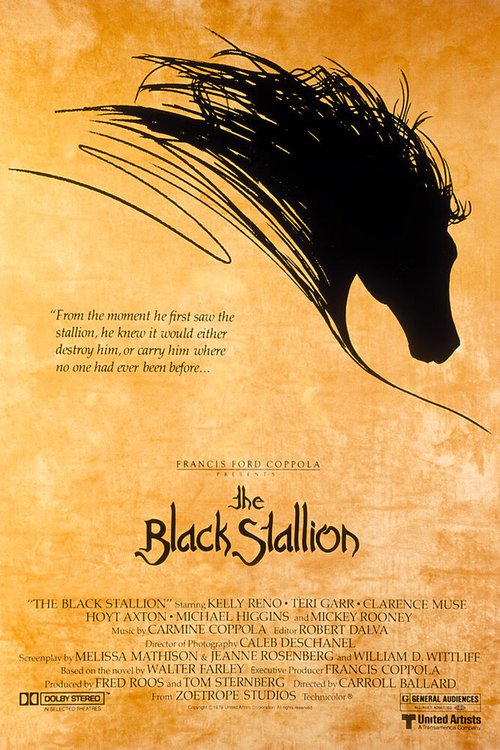 Обложка Черный скакун / The Black Stallion (1979) 