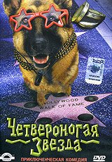 Обложка (Постер) Четвероногая звезда / Il destino ha 4 zampe (2002) HDRip Обложка (Постер) Четвероногая звезда / Il destino ha 4 zampe (2002) HDRip