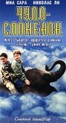 Обложка (Постер) Чудо — слоненок / The Impossible Elephant (2001) HDRip Обложка (Постер) Чудо — слоненок / The Impossible Elephant (2001) HDRip