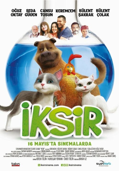 Обложка (Постер) Эликсир / Iksir (2014) HDRip Обложка (Постер) Эликсир / Iksir (2014) HDRip