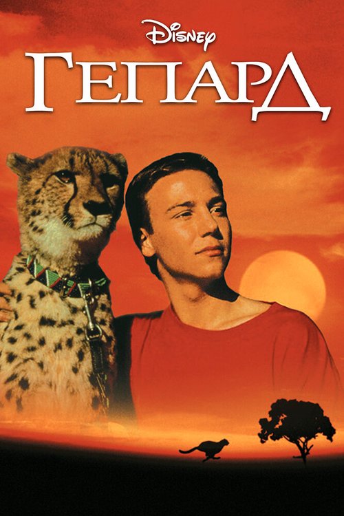 Обложка (Постер) Гепард / Cheetah (1989) SATRip Обложка (Постер) Гепард / Cheetah (1989) SATRip