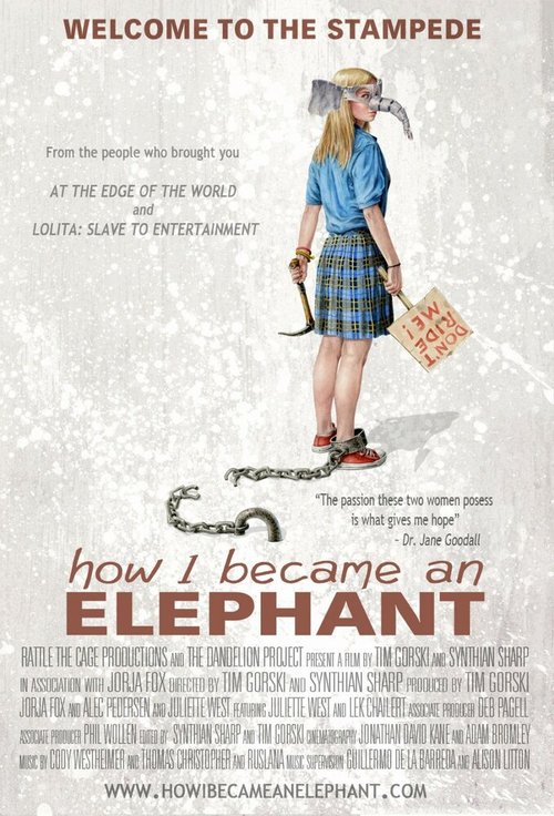 Обложка (Постер) Как я стала слоном / How I Became an Elephant (2012) HDRip Обложка (Постер) Как я стала слоном / How I Became an Elephant (2012) HDRip