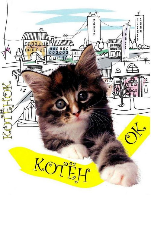 Обложка (Постер) Котенок (1996) HDRip Обложка (Постер) Котенок (1996) HDRip
