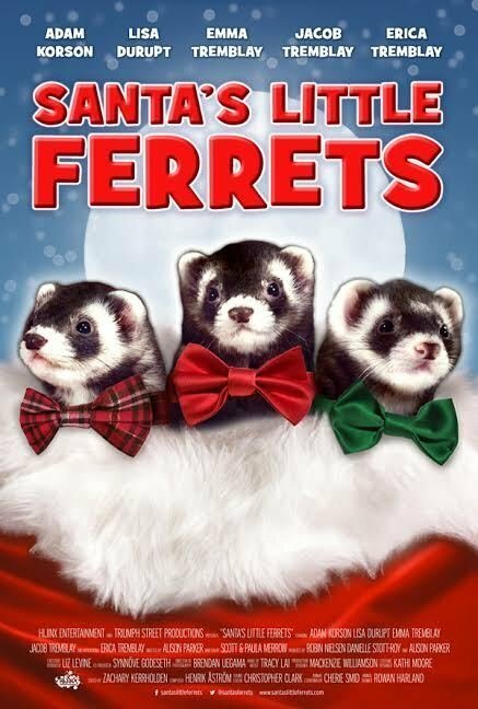 Обложка (Постер) Маленькие хорьки Санты / Santa's Little Ferrets (2014) HDRip Обложка (Постер) Маленькие хорьки Санты / Santa's Little Ferrets (2014) HDRip