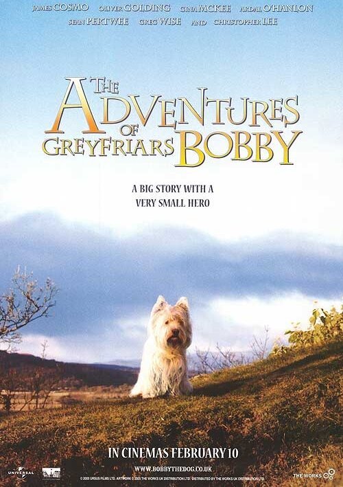 Обложка (Постер) Малыш Бобби / The Adventures of Greyfriars Bobby (2005) HDRip Обложка (Постер) Малыш Бобби / The Adventures of Greyfriars Bobby (2005) HDRip