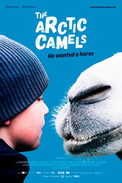 Обложка (Постер) Мой друг северный верблюд / The Arctic Camels (2019) HDRip Обложка (Постер) Мой друг северный верблюд / The Arctic Camels (2019) HDRip