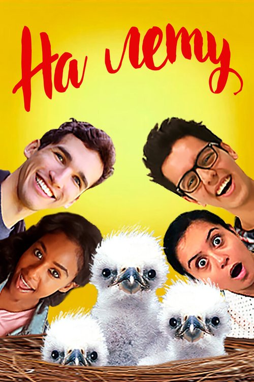 Обложка (Постер) На лету / On the Wing (2015) HDRip Обложка (Постер) На лету / On the Wing (2015) HDRip