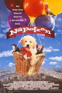 Обложка (Постер) Наполеон / Napoleon (1995) HDRip Обложка (Постер) Наполеон / Napoleon (1995) HDRip