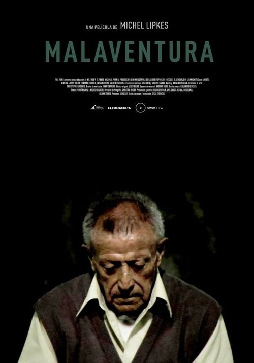 Обложка (Постер) Несчастье / Malaventura (2011) HDRip