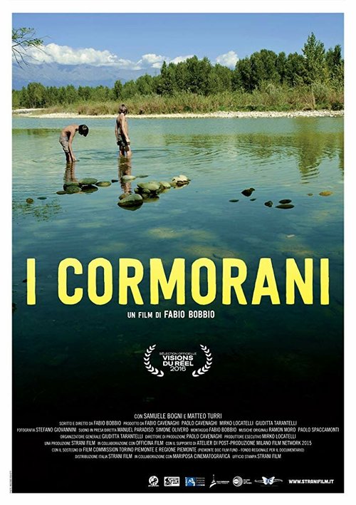 Обложка (Постер) Неугомонные / I cormorani (2016) CAMRip Обложка (Постер) Неугомонные / I cormorani (2016) CAMRip