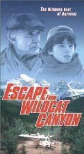 Обложка (Постер) Побег из Уайлдкэт-Каньон / Escape from Wildcat Canyon (1998) HDRip