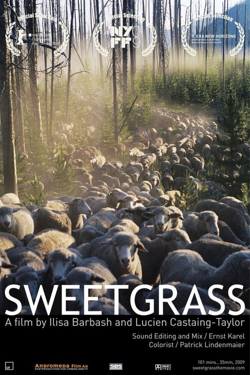 Обложка (Постер) Последний ковбой / Sweetgrass (2009) HDRip Обложка (Постер) Последний ковбой / Sweetgrass (2009) HDRip