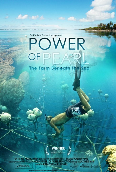 Обложка (Постер) Power of Pearl (2017) HDRip