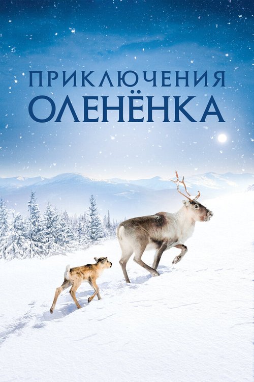 Обложка (Постер) Приключения олененка / Aïlo: Une odyssée en Laponie (2018) HDRip Обложка (Постер) Приключения олененка / Aïlo: Une odyssée en Laponie (2018) HDRip