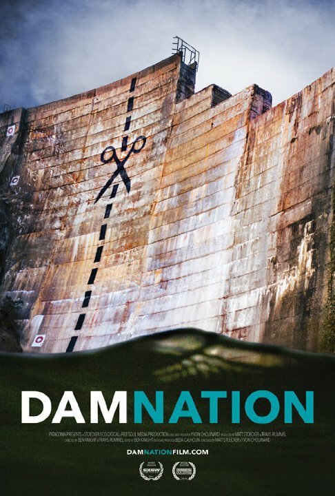 Обложка (Постер) Проклятие плотин / DamNation (2014) HDRip
