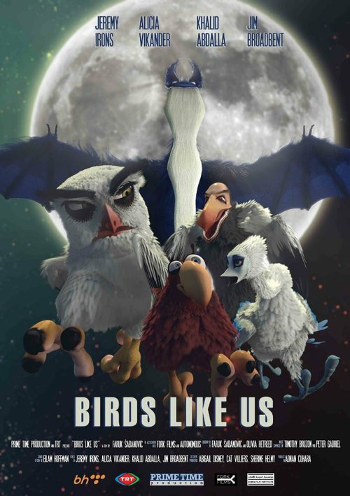 Обложка (Постер) Птицы, как мы / Birds Like Us (2017) HDRip Обложка (Постер) Птицы, как мы / Birds Like Us (2017) HDRip
