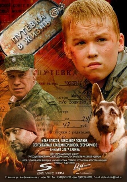 Обложка (Постер) Путевка в жизнь (2013) HDRip Обложка (Постер) Путевка в жизнь (2013) HDRip