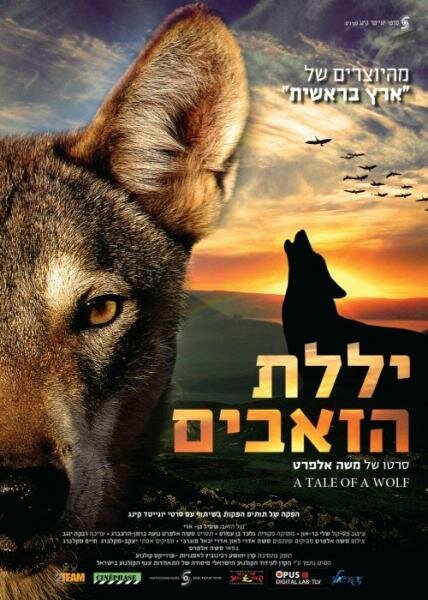 Обложка (Постер) Рассказ о волке / A Tale of a Wolf (2013) HDRip Обложка (Постер) Рассказ о волке / A Tale of a Wolf (2013) HDRip