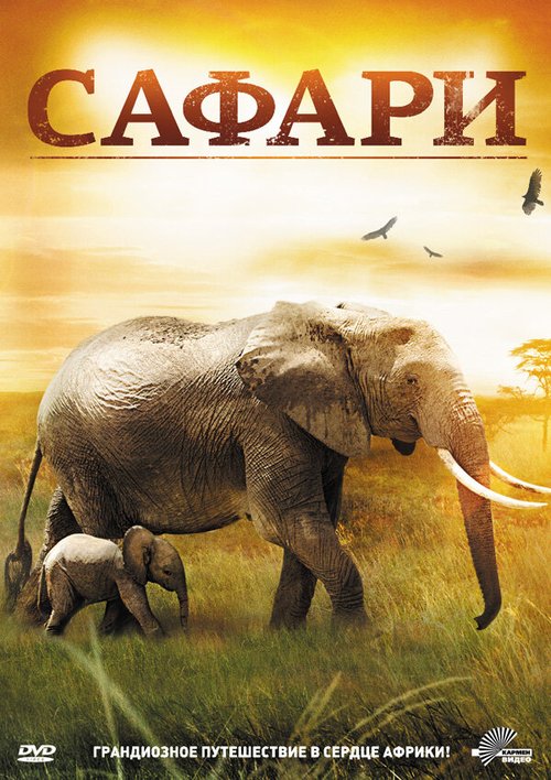 Обложка (Постер) Сафари / 3D Safari: Africa (2011) HDRip Обложка (Постер) Сафари / 3D Safari: Africa (2011) HDRip