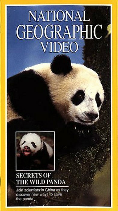 Обложка (Постер) Secrets of the Wild Panda (1995) HDRip Обложка (Постер) Secrets of the Wild Panda (1995) HDRip