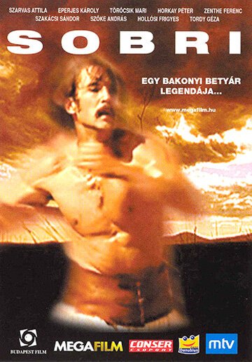 Обложка (Постер) Шобри / Sobri, ponyvafilm (2002) HDRip Обложка (Постер) Шобри / Sobri, ponyvafilm (2002) HDRip