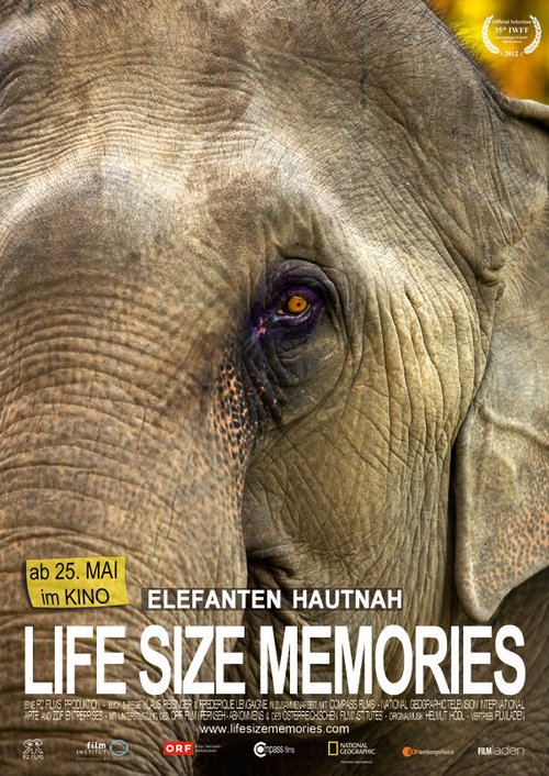 Обложка (Постер) Слоны как они есть / Life Size Memories (2012) HDRip