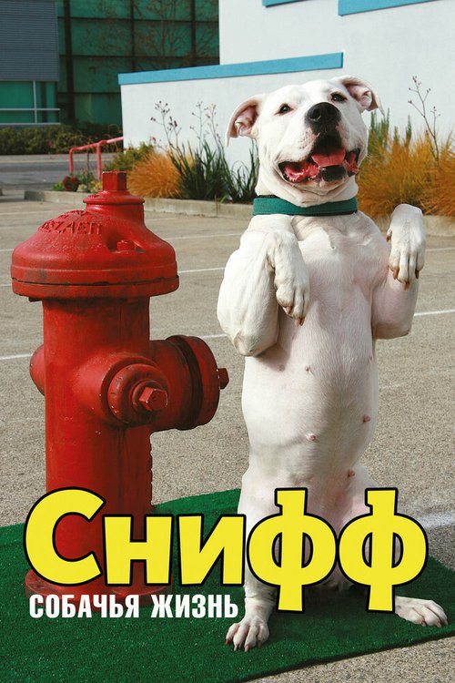 Обложка Снифф: Собачья жизнь / Sniff: The Dog Movie (2009) 