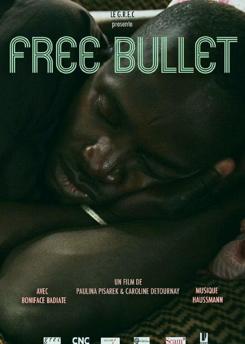Обложка (Постер) Свободная пуля / Free Bullet (2015) HDRip