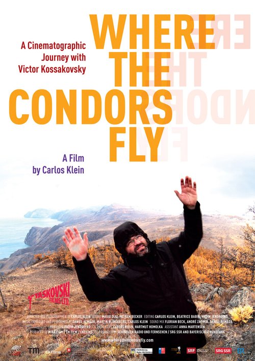 Обложка (Постер) Там, где летают кондоры / Where the Condors Fly (2012) HDRip