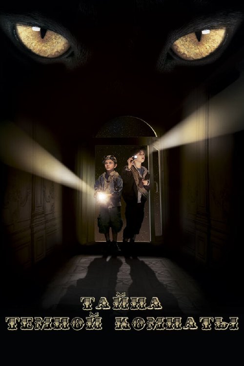 Обложка (Постер) Тайна темной комнаты (2014) HDRip