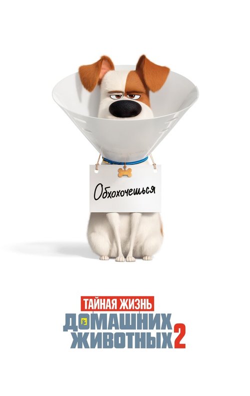 Обложка (Постер) Тайная жизнь домашних животных 2 / The Secret Life of Pets 2 (2019) HDRip Обложка (Постер) Тайная жизнь домашних животных 2 / The Secret Life of Pets 2 (2019) HDRip