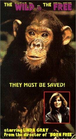 Обложка (Постер) The Wild and the Free (1980) SATRip Обложка (Постер) The Wild and the Free (1980) SATRip