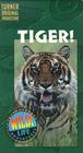 Обложка (Постер) Tiger! (1997) Обложка (Постер) Tiger! (1997)
