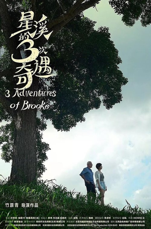 Обложка (Постер) Три приключения Брук / Three Adventures of Brooke (2018) HDRip Обложка (Постер) Три приключения Брук / Three Adventures of Brooke (2018) HDRip