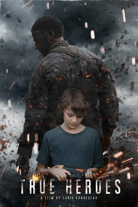 Обложка (Постер) True Heroes (2014) Обложка (Постер) True Heroes (2014)