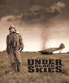 Обложка (Постер) Under Black Skies (2004) HDRip Обложка (Постер) Under Black Skies (2004) HDRip