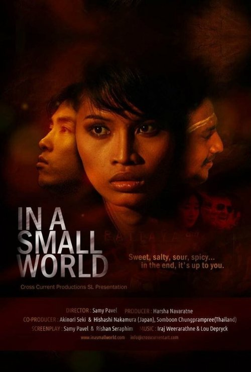 Обложка (Постер) В маленьком мире / In a Small World (2012) HDRip Обложка (Постер) В маленьком мире / In a Small World (2012) HDRip