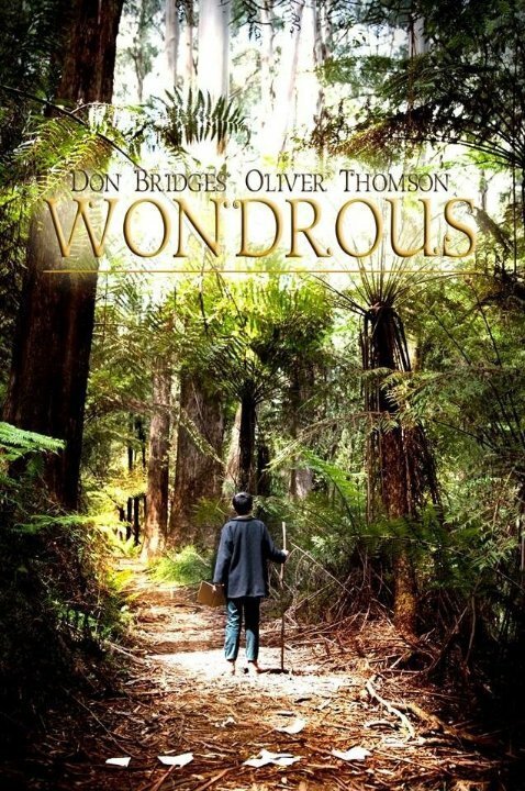 Обложка (Постер) Wondrous (2014) Обложка (Постер) Wondrous (2014)