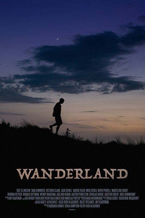 Обложка (Постер) Зачарованный город / Wanderland (2018) HDRip Обложка (Постер) Зачарованный город / Wanderland (2018) HDRip
