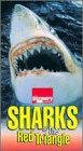 Обложка (Постер) Акулы Красного треугольника / Sharks of the Red Triangle (1995) HDRip Обложка (Постер) Акулы Красного треугольника / Sharks of the Red Triangle (1995) HDRip