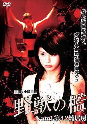 Обложка (Постер) Бандитки в цепях / Kûga no ori: Nami dai-42 zakkyobô (2007) 
