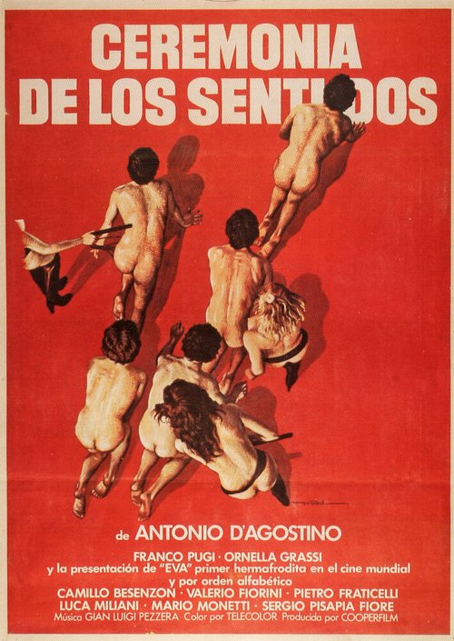 Обложка (Постер) Церемония чувств / La cerimonia dei sensi (1979) Обложка (Постер) Церемония чувств / La cerimonia dei sensi (1979)