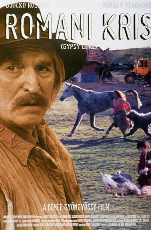 Обложка (Постер) Цыганский закон / Romani kris - Cigánytörvény (1997) HDRip