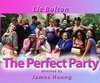 Обложка (Постер) Идеальная вечеринка / The Perfect Party (2004) HDRip