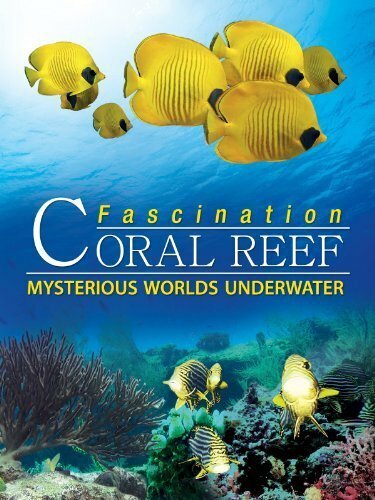 Обложка (Постер) Коралловый риф: Удивительные подводные миры / Fascination Coral Reef: Mysterious Worlds Underwater (2012) HDRip Обложка (Постер) Коралловый риф: Удивительные подводные миры / Fascination Coral Reef: Mysterious Worlds Underwater (2012) HDRip
