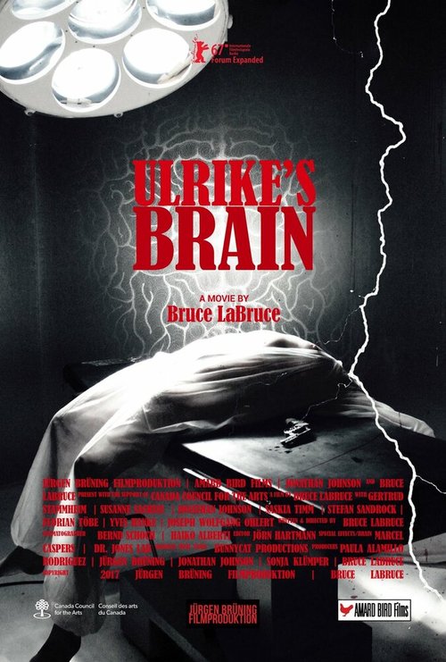 Обложка (Постер) Мозг Ульрики / Ulrike's Brain (2017) HDRip
