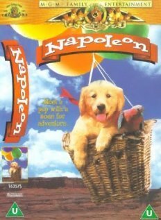 Обложка (Постер) Napoleon (1994) HDRip Обложка (Постер) Napoleon (1994) HDRip