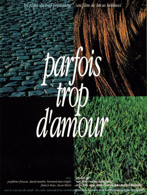 Обложка (Постер) Parfois trop d'amour (1992) HDRip Обложка (Постер) Parfois trop d'amour (1992) HDRip