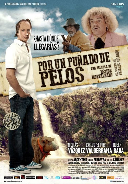 Обложка (Постер) Por un puñado de pelos (2014) HDRip